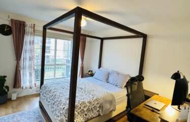 Beautiful 2 Bedrooms in the Heart of Port Coquitlam