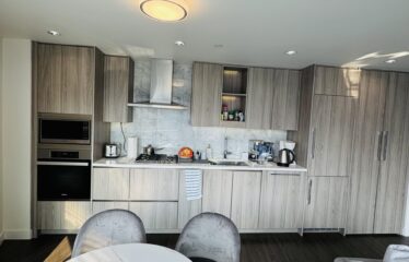 Luxury 1 Bedroom Furnished – Downtown