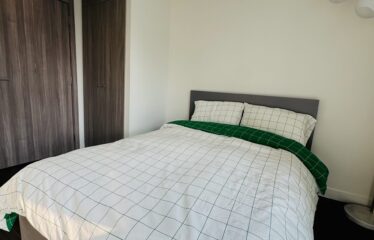 Luxury 1 Bedroom Furnished – Downtown