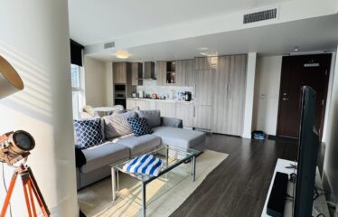 Luxury 1 Bedroom Furnished – Downtown