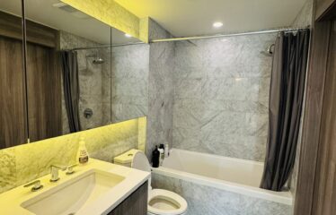 Luxury 1 Bedroom Furnished – Downtown