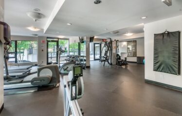 Large 1 Bedroom in the Heart of Yaletown!