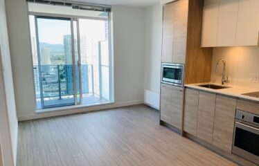 Modern 1 Bedroom – King George Station Surrey