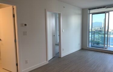 Modern 1 Bedroom – King George Station Surrey