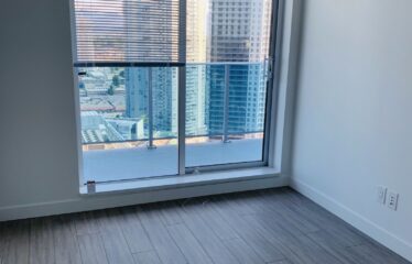 Modern 1 Bedroom – King George Station Surrey