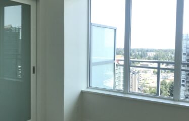 Luxury Sub Penthouse with Large Balcony and Panoramic Views