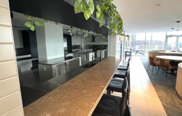 Luxury 1 Bedroom Sub Penthouse with Amazing Views – King George , Surrey